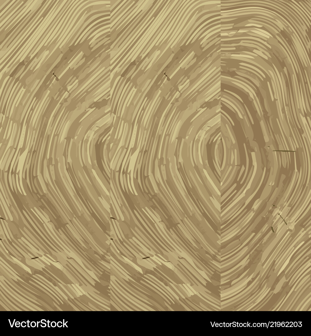 Cross section of tree stump background texture Cross section of tree stump background texture vector image