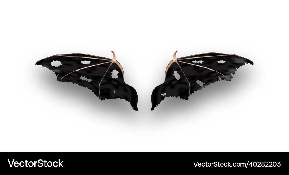 Devil wings with shadow on gray background Devil wings with shadow on gray background vector image