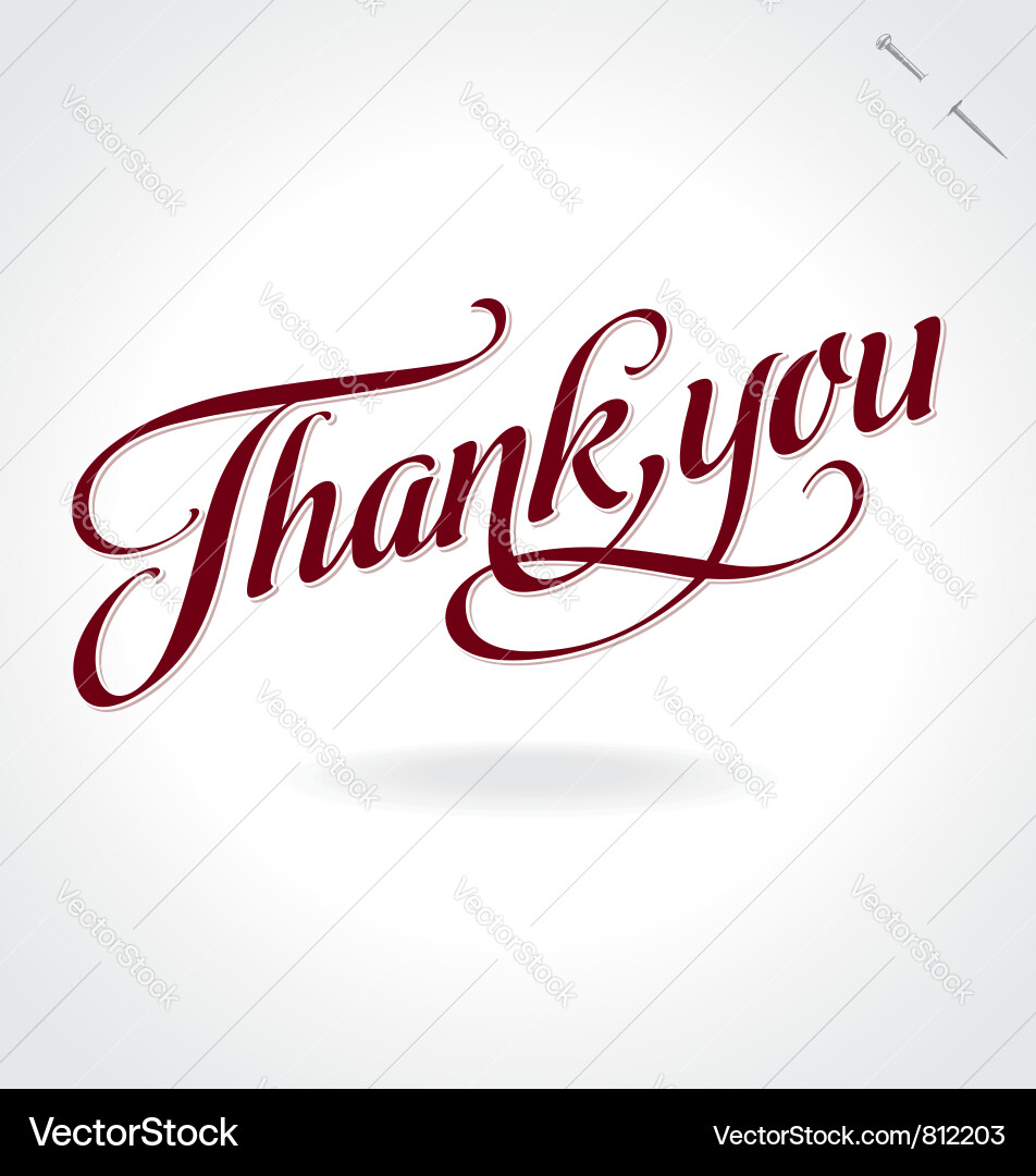 Elegant Thank You Script vector image