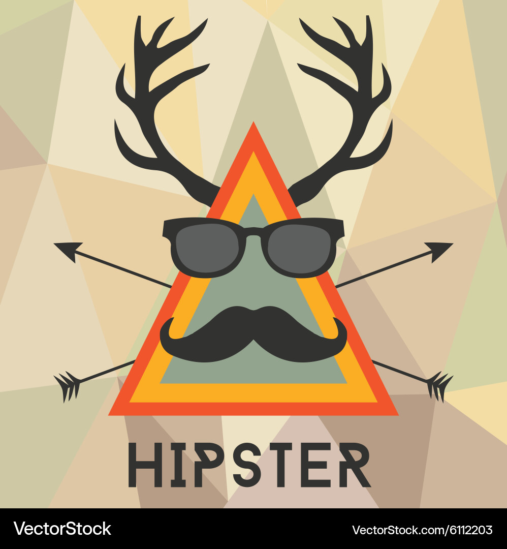 Hipster design with elements and icons Vector Image