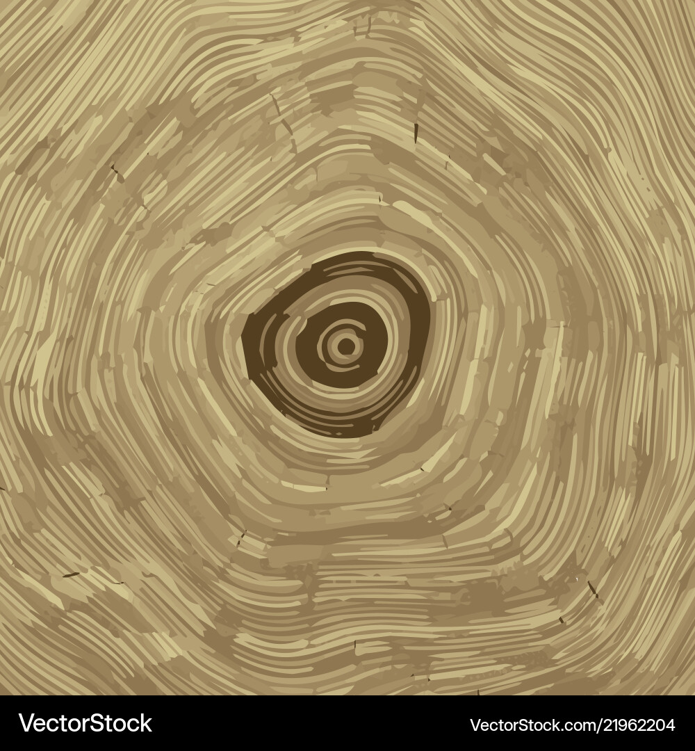 Cross section of tree stump background texture Cross section of tree stump background texture vector image