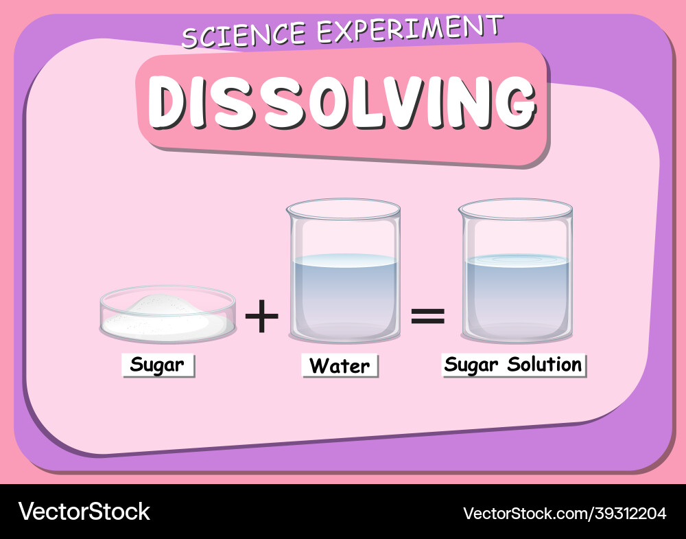 Dissolving science experiment with sugar dissolve Dissolving science experiment with sugar dissolve vector image