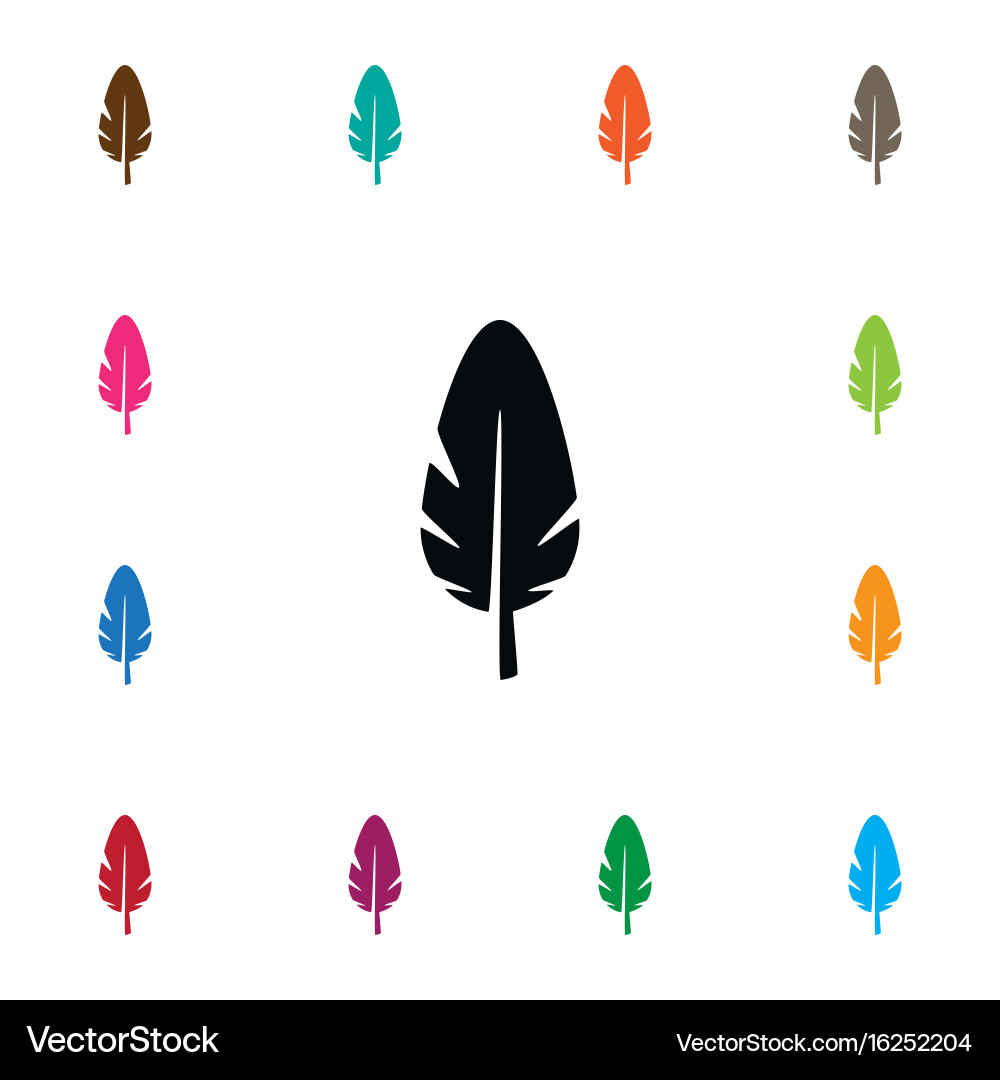 Isolated plume icon nib element can Vector Image