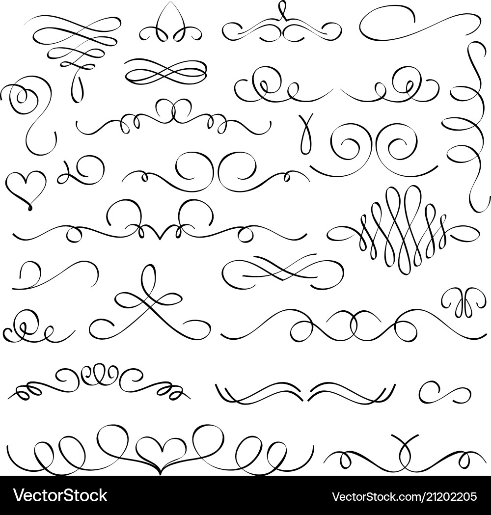 Vintage Calligraphic Swirls & Flourishes vector image