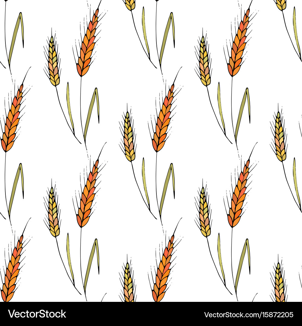Wheat Spikelet Seamless Pattern vector image
