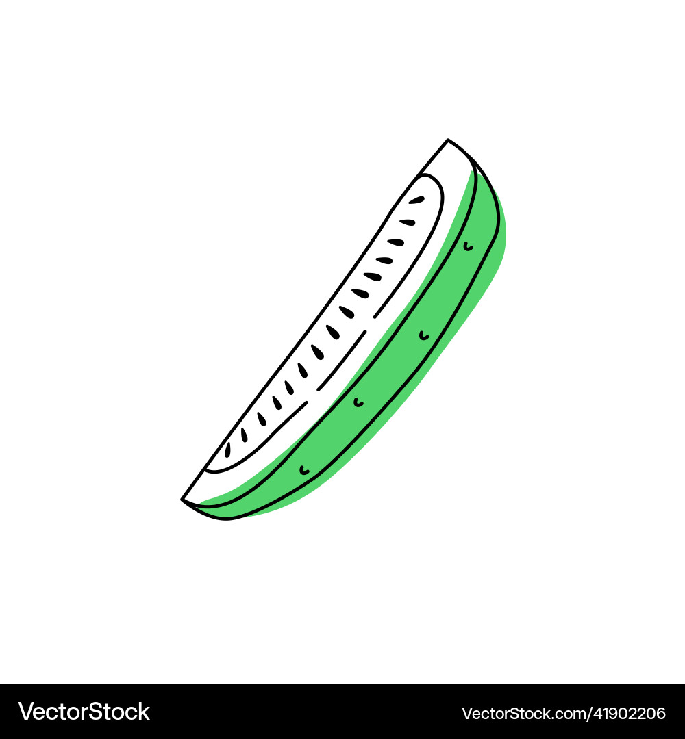 Doodle outline slice cucumber with spot Vector Image