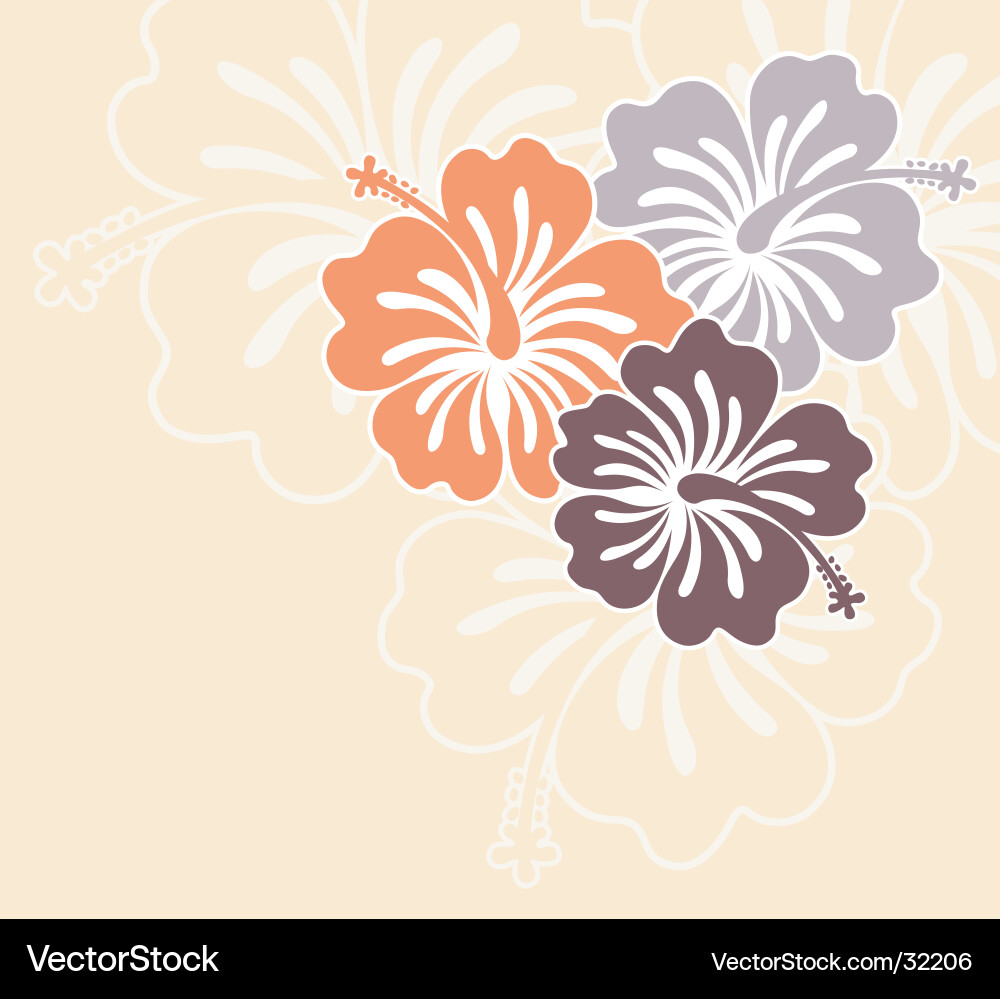 Tropical Floral Ornament Vector Image