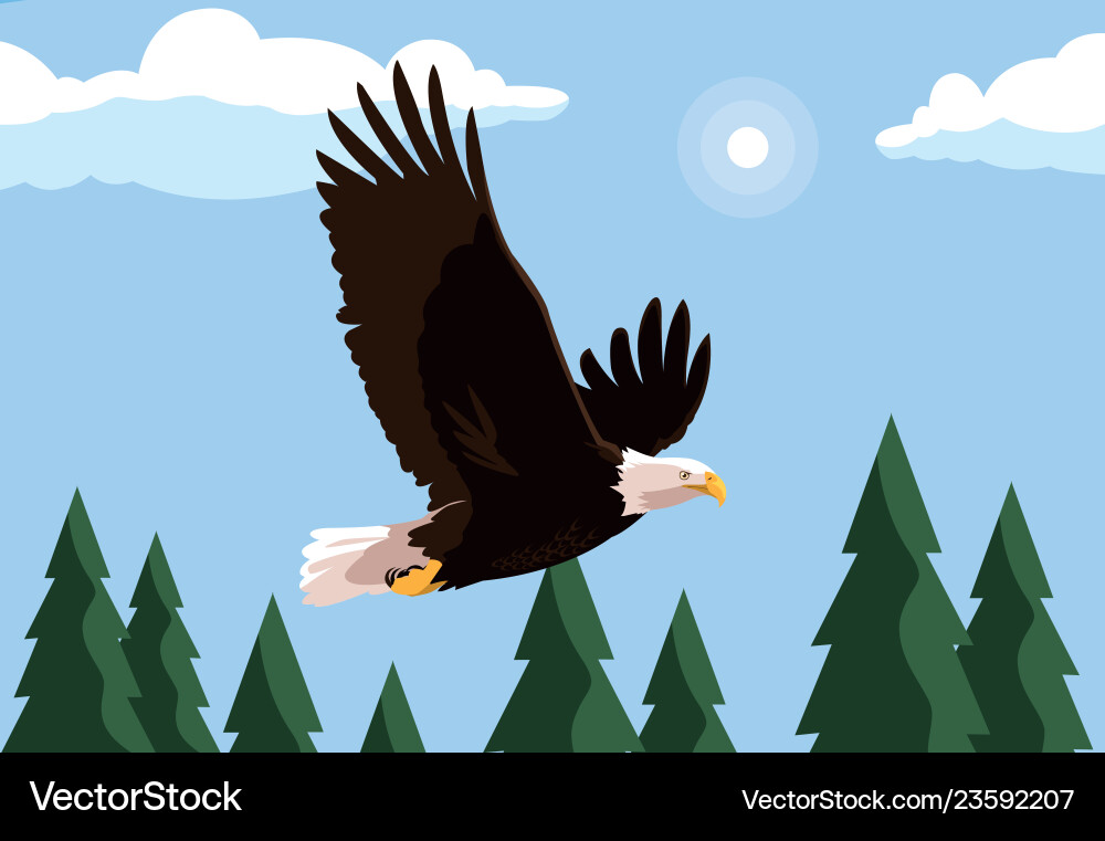 Bald eagle bird flying with landscape Royalty Free Vector