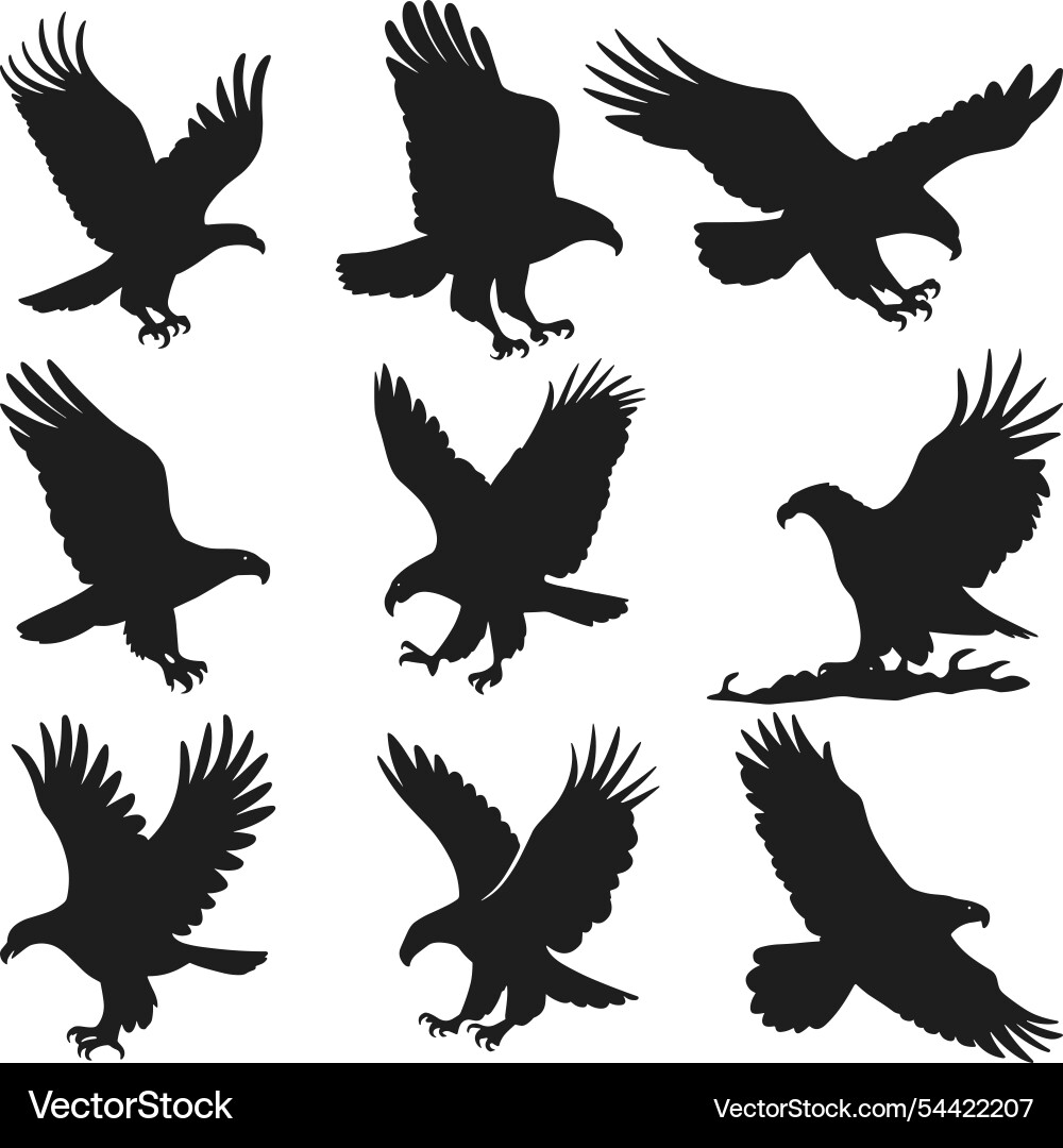 Eagle Silhouettes - Set of Birds Vector Image
