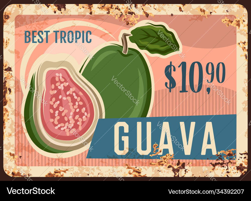 Guava tropische Früchte rustikale Metall Schild Guava tropische Früchte rustikale Metall Schild vektorbild