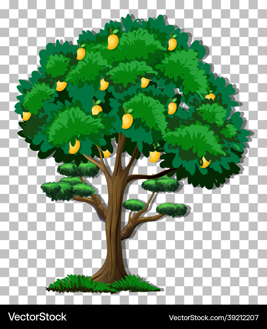 Mango tree on transparent background Mango tree on transparent background vector image