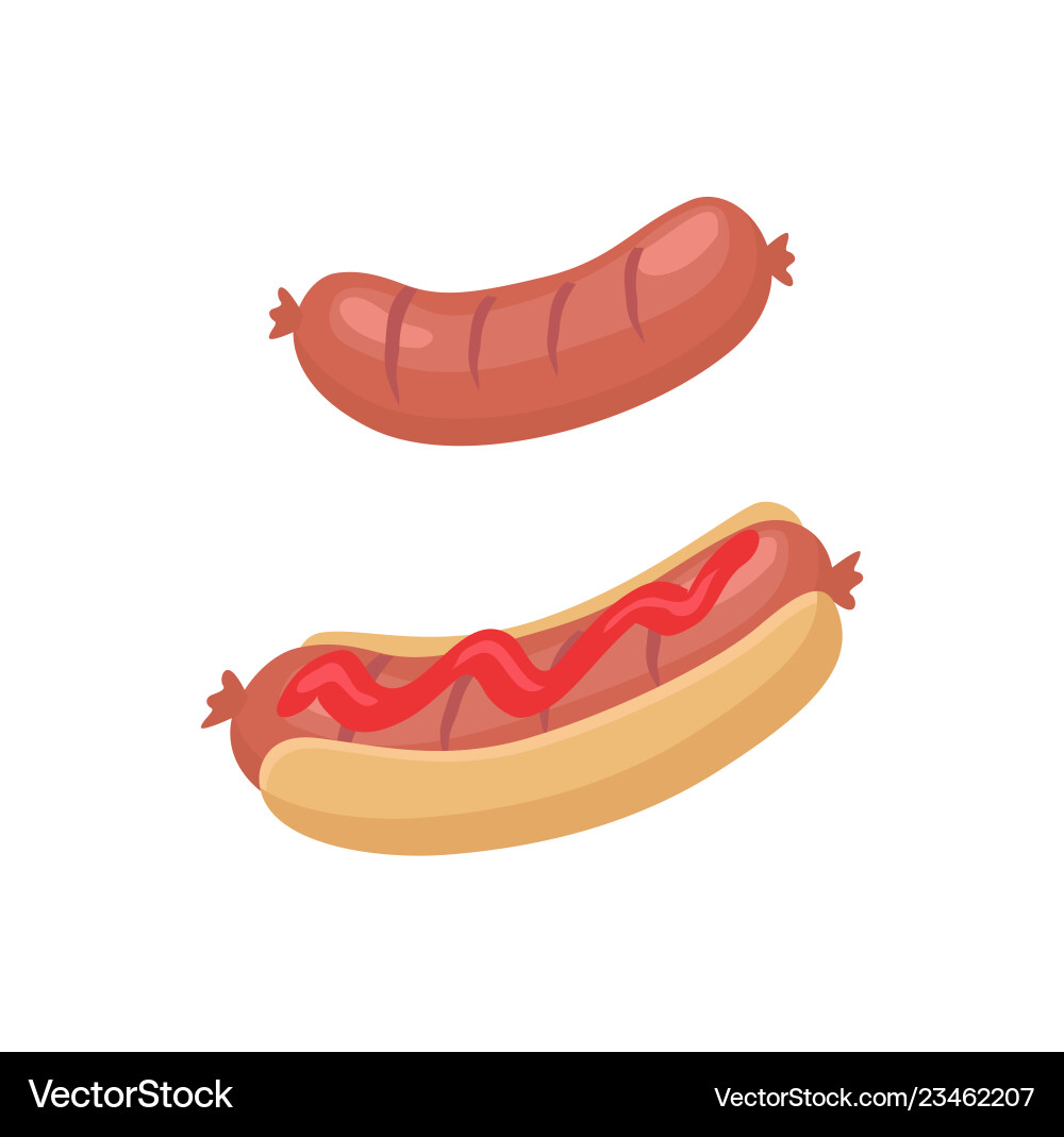 Sausage for barbecue and hot dog in cartoon style Sausage for barbecue and hot dog in cartoon style vector image