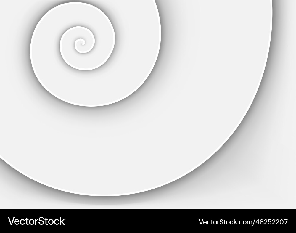 Spiral shape and shadows with 3d effect vector image