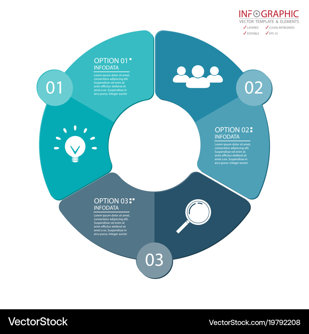 Abstract element infographics 3 option design vector image