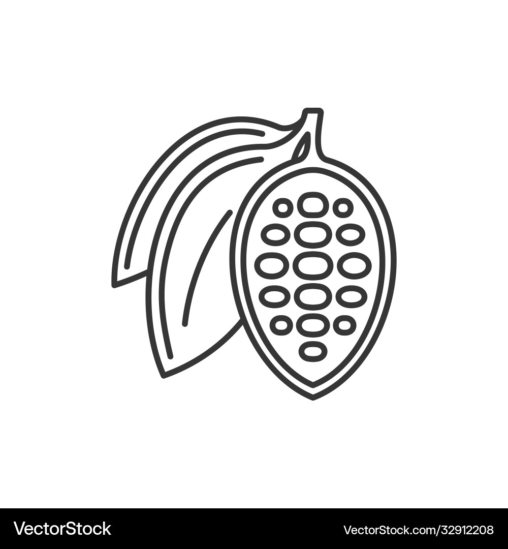 Chocolate cocoa beans icon on white background Chocolate cocoa beans icon on white background Vector Image