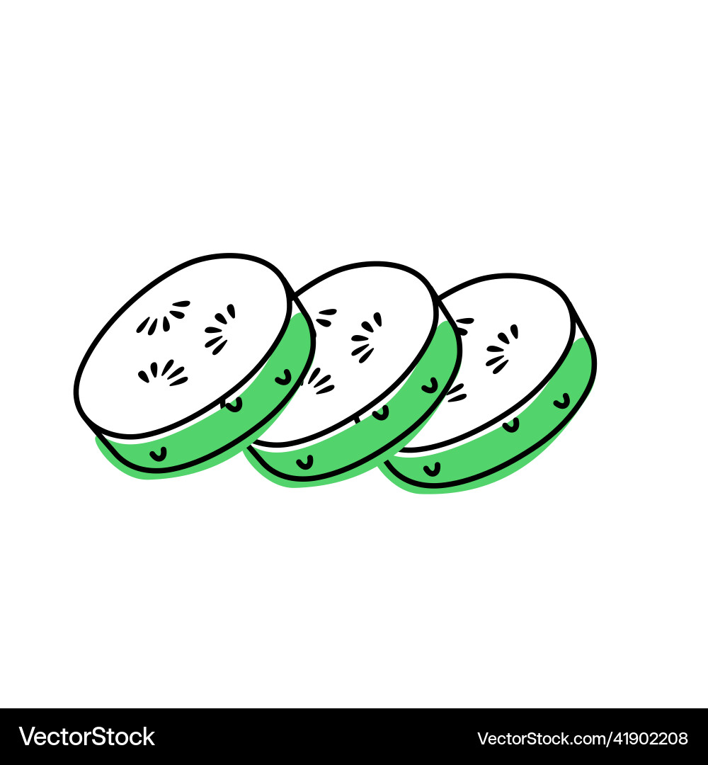 Doodle outline slice cucumber with spot Vector Image