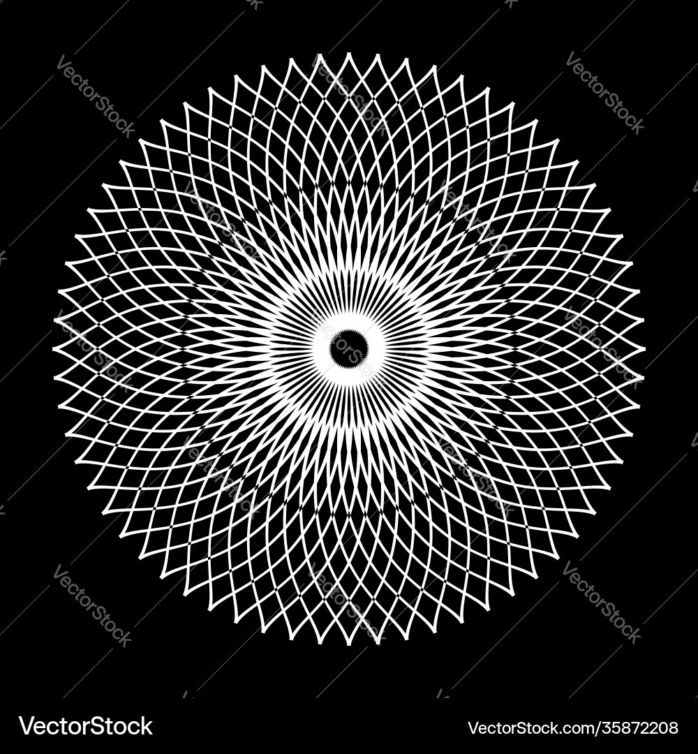 Intricate Circle Pattern Vector Image