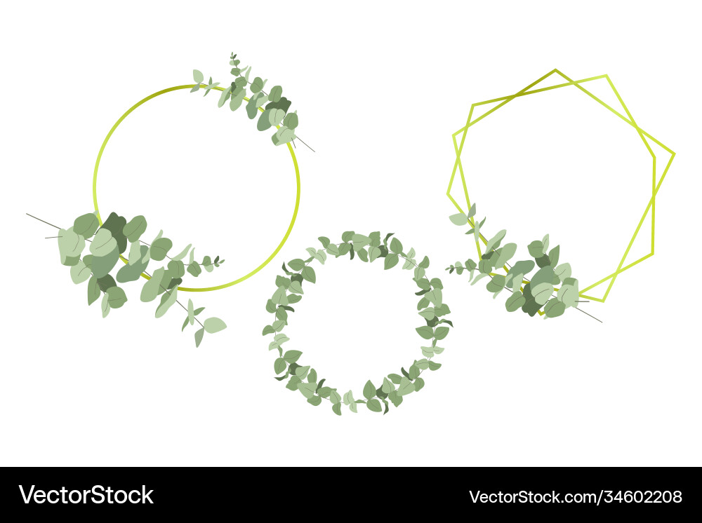 Set frames with eucalyptus i Vector Image