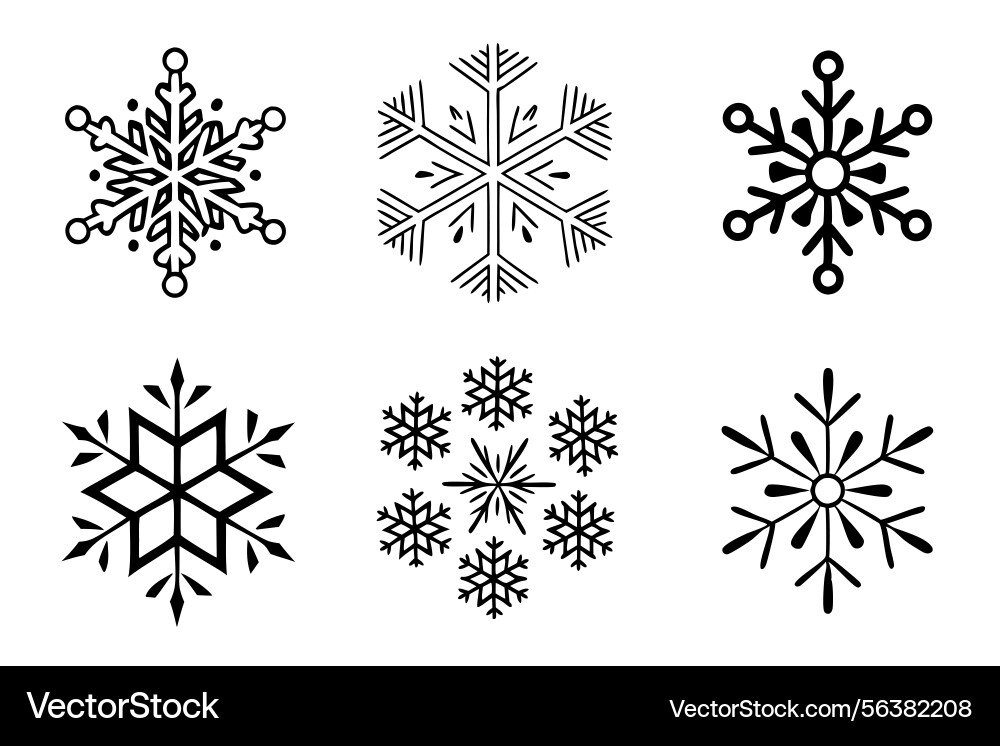 Snowflake icons with varying shapes and patterns Snowflake icons with varying shapes and patterns vector image