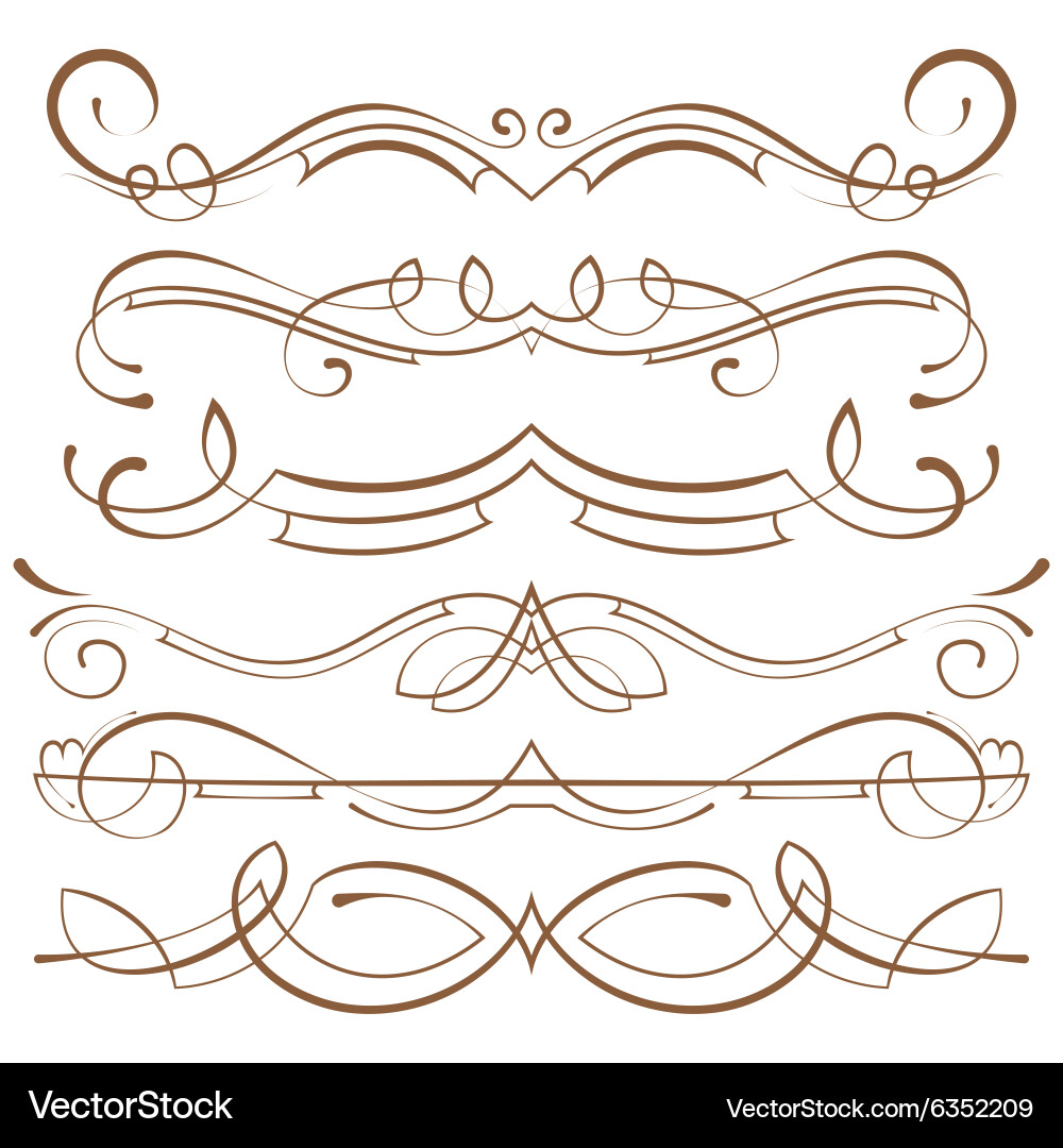 Calligraphic Swirls & Ornate Elements vector image