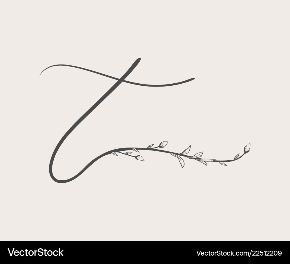 Floral T Monogram Logo vector image
