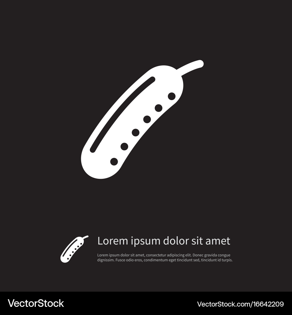 Isolated cucumber icon zucchini element vector image