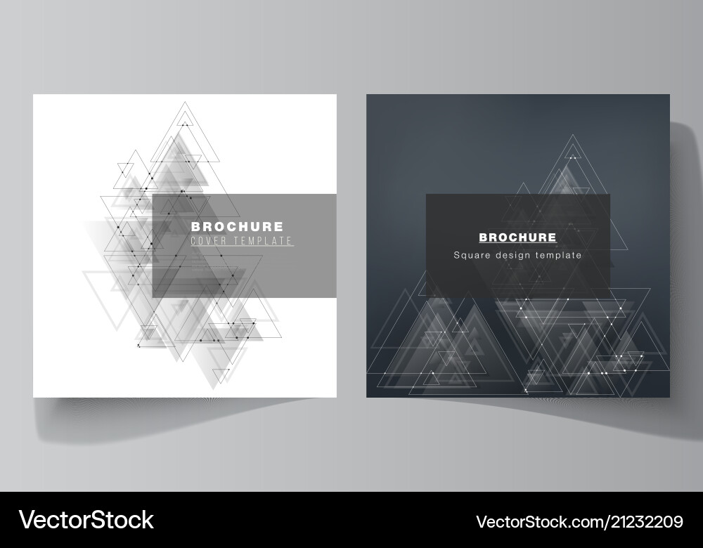 Minimal editable layout of two square Minimal editable layout of two square vector image