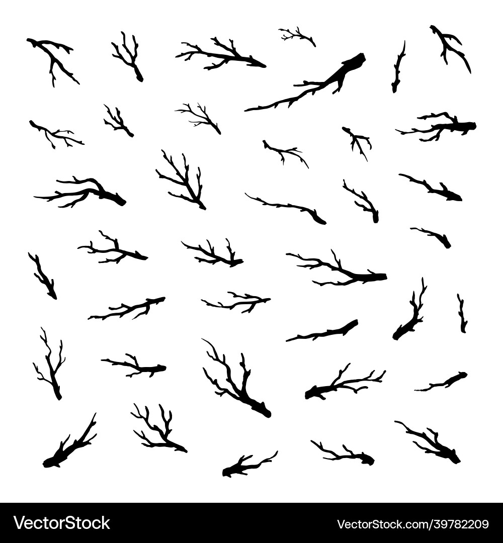 Set of tree branches and twigs Set of tree branches and twigs vector image