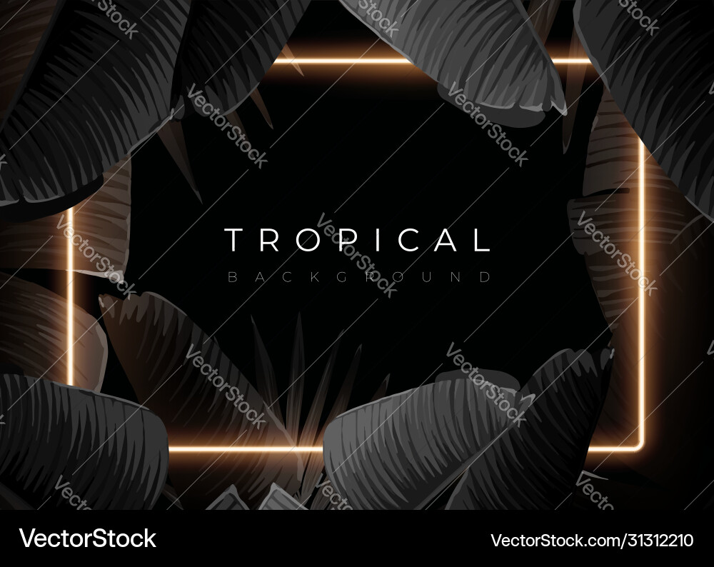 Dark monochrome tropical design with exotic banana Vector Image
