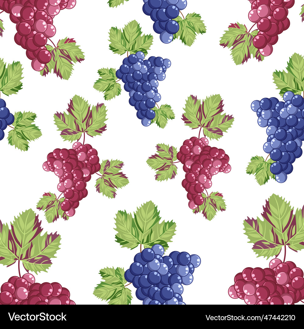 Grape pattern 3 Grape pattern 3 vector image