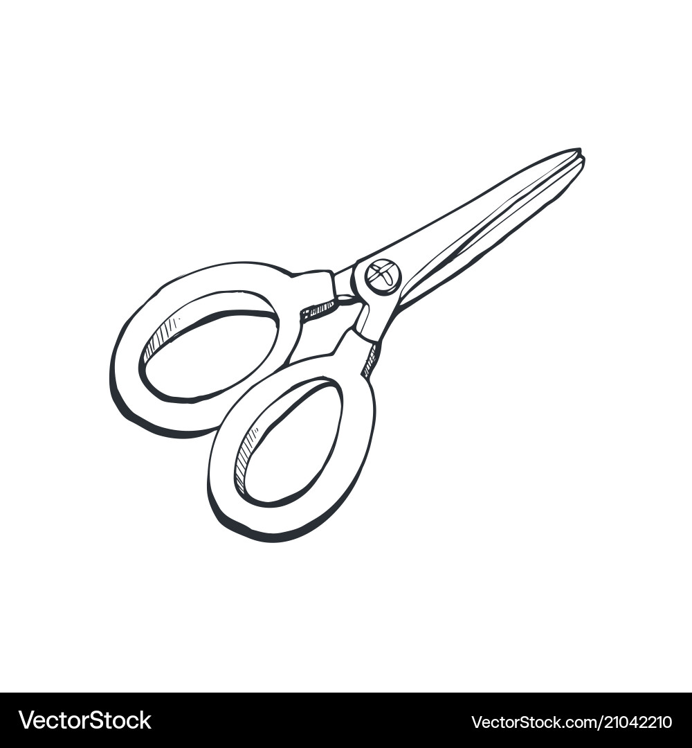 Scissors sketch isolated vector image