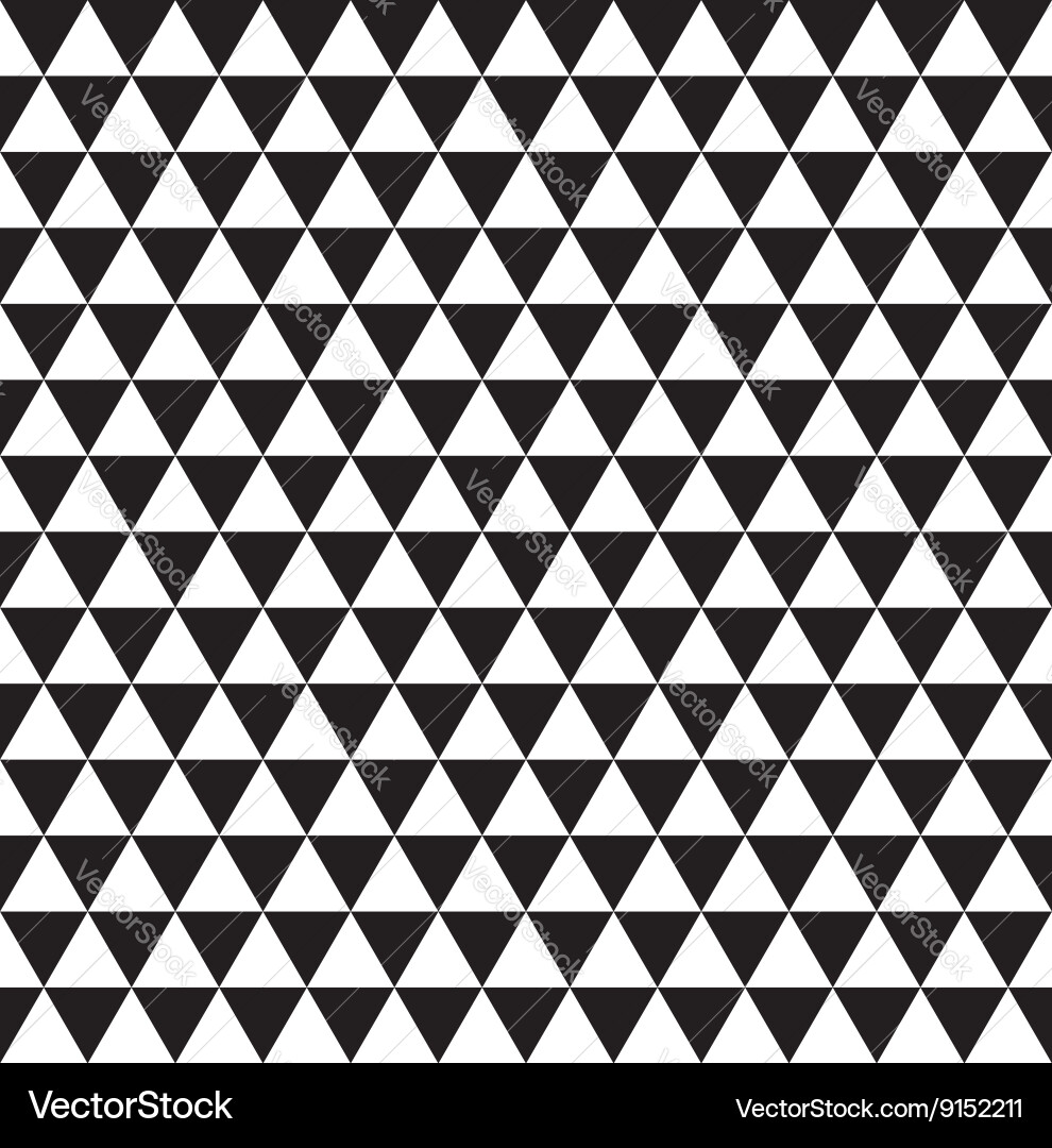 Black and White Triangle Pattern vector image