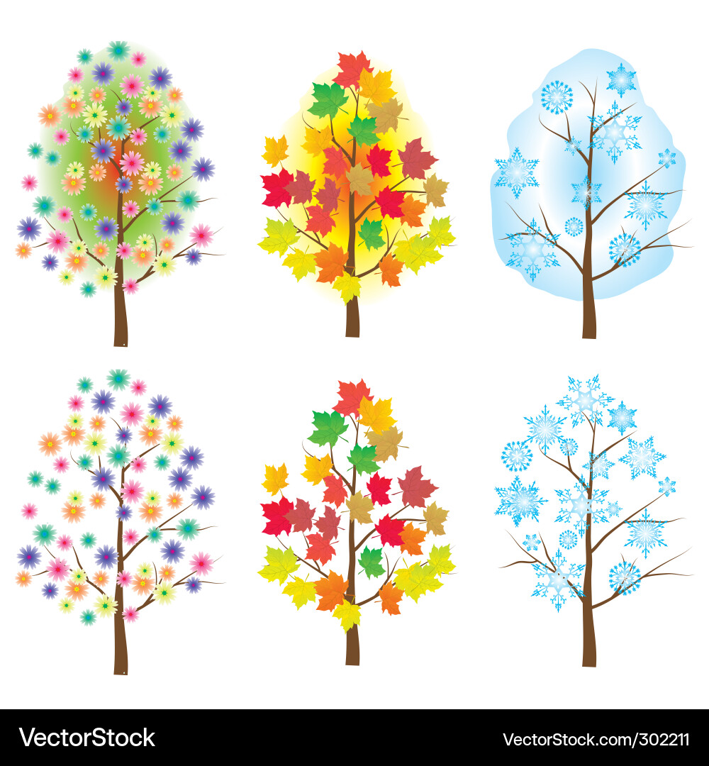 Collection of trees for design Vector Image