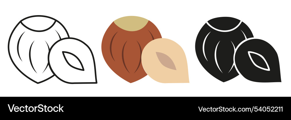 Hazelnut of hazel trees in different styles Vector Image