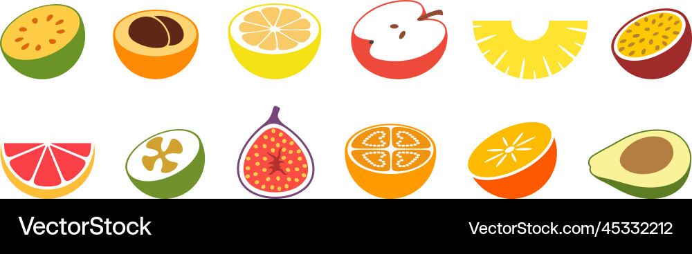 Fruit vector image