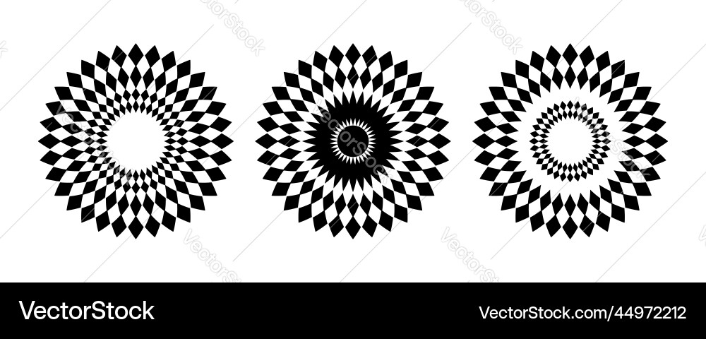 Geometric Circle Patterns vector image