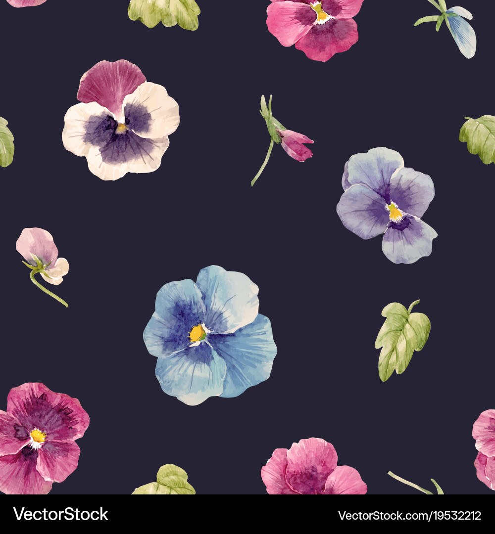 Wasserfarbe Pansy Blumenmuster Vektorbild