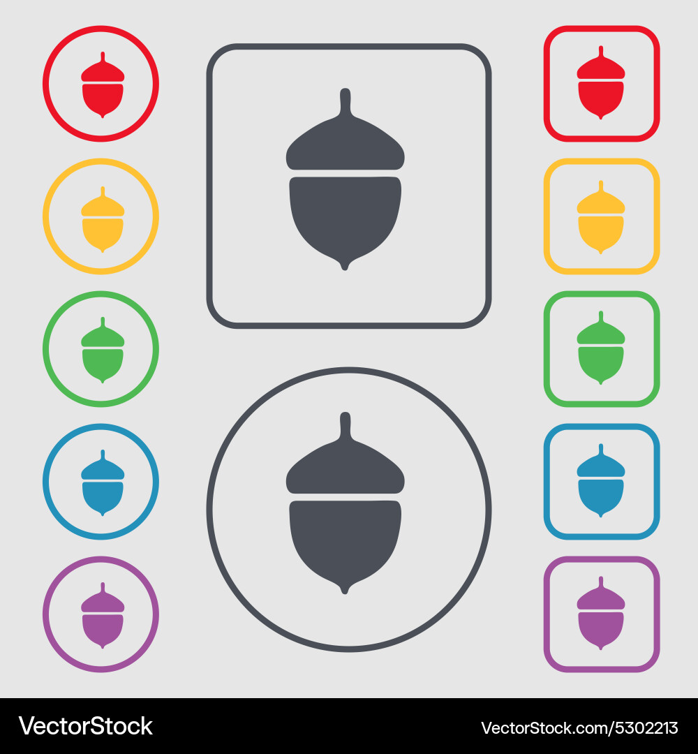 Isolated Acorn Icon Set vector image