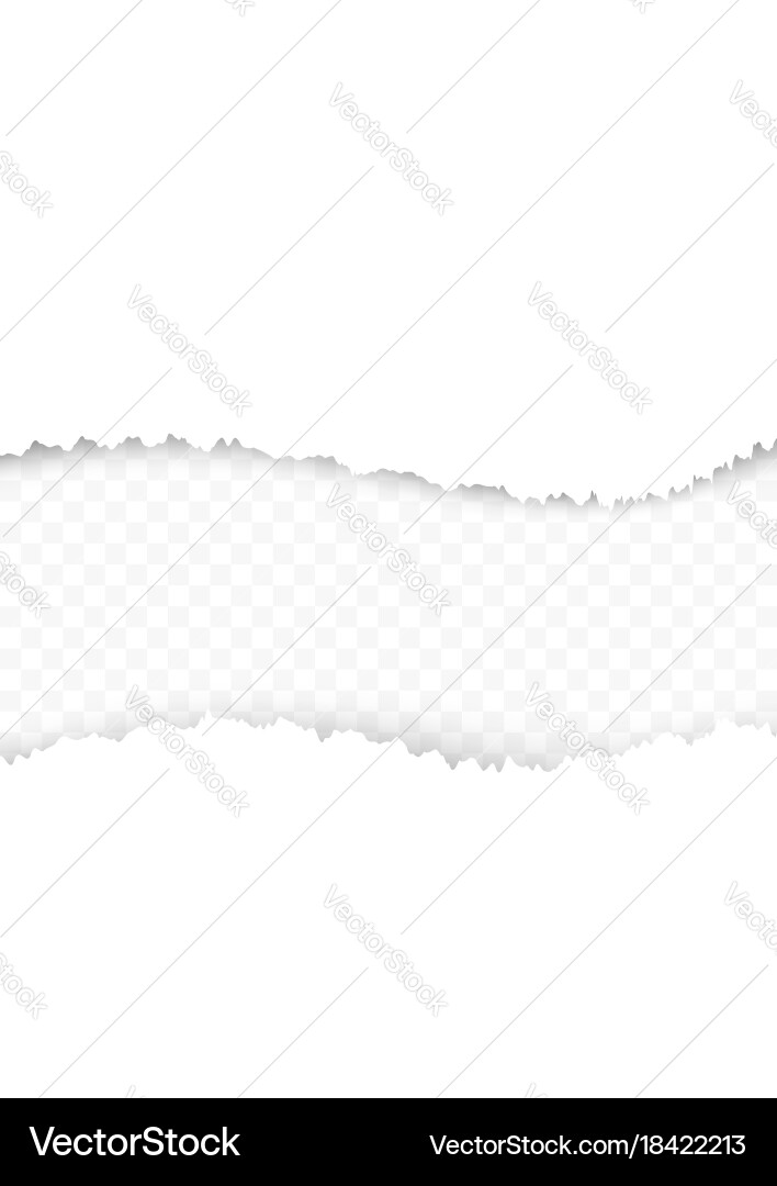 Torn paper abstract template layout realistic Vector Image