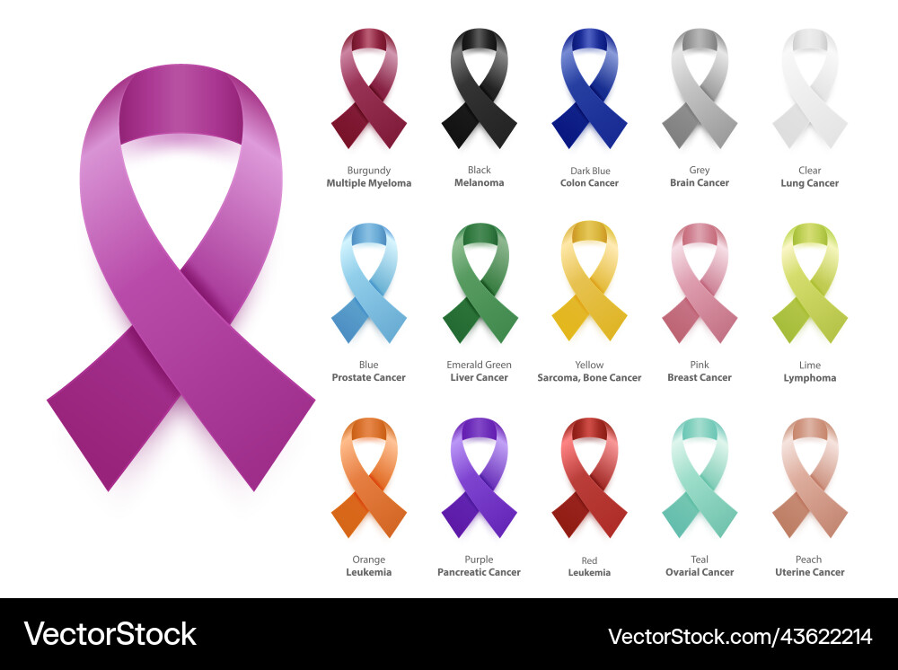Cancer Ribbons - Realistic Awareness Set vector image