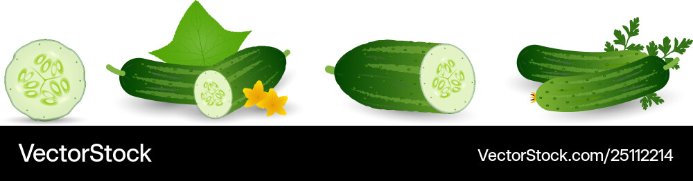 Cartoon Cucumbers - Whole & Sliced Vector Image