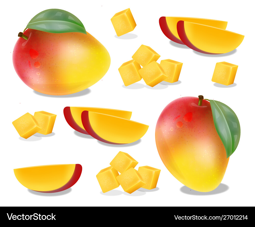 Mango fruit slices set realistic detailed Vector Image