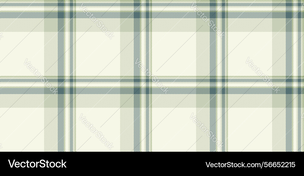 Elegant plaid pattern with intersecting lines Vector Image
