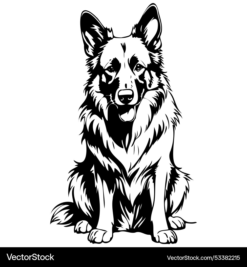 Monochrome belgian tervuren sitting sketch Monochrome belgian tervuren sitting sketch vector image