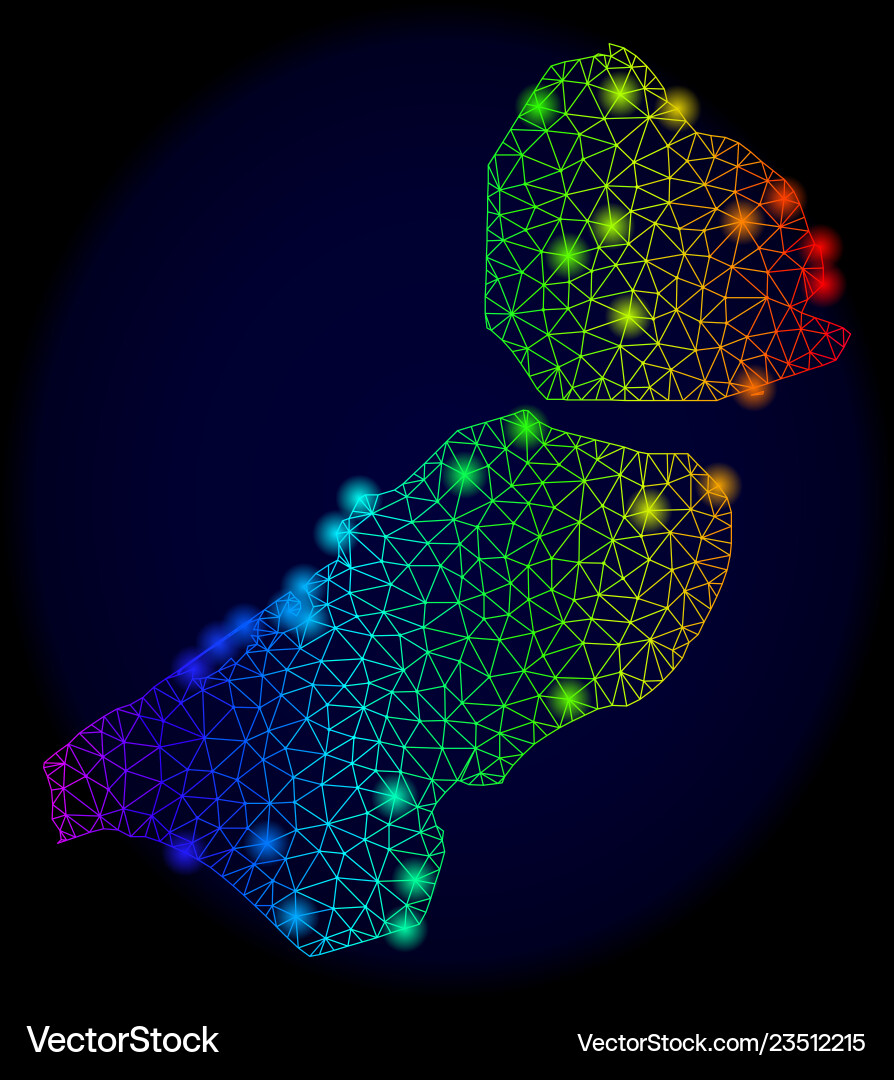 Polygonal 2d colorful mesh map of flevoland Vector Image
