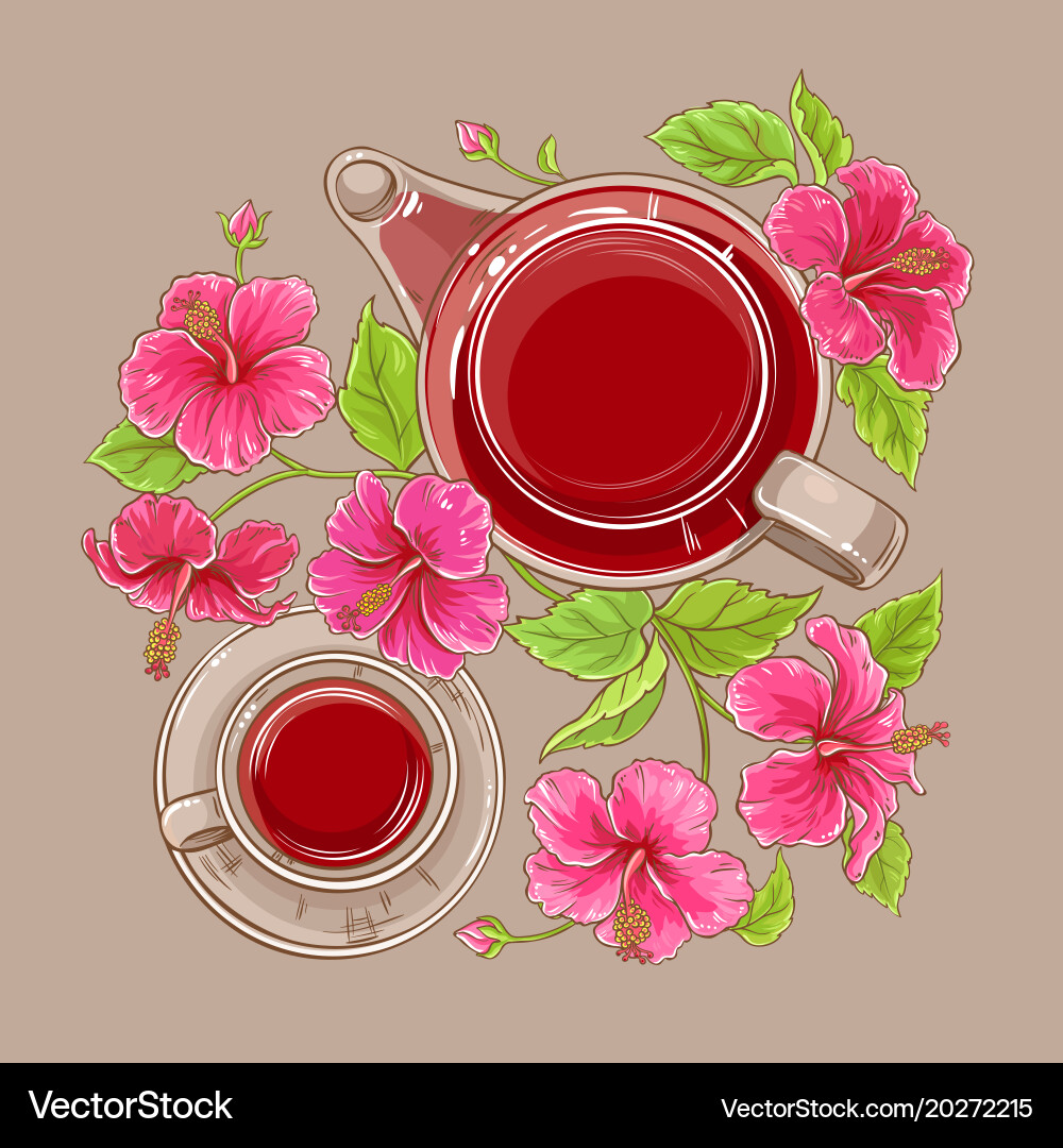 Tasse Hibiscus Tee und Teekanne Vektorbild