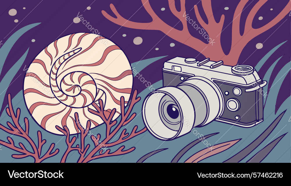 Camera with abstract nautilus shell in ocean art Vector Image