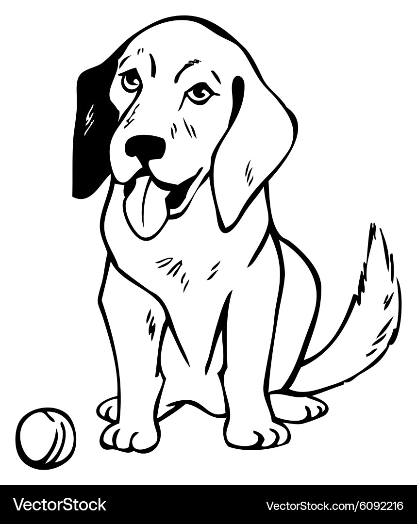 Cute Labrador Retriever with Ball Vector Image