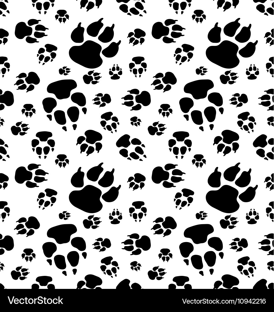 Footprints of dog Vector Image