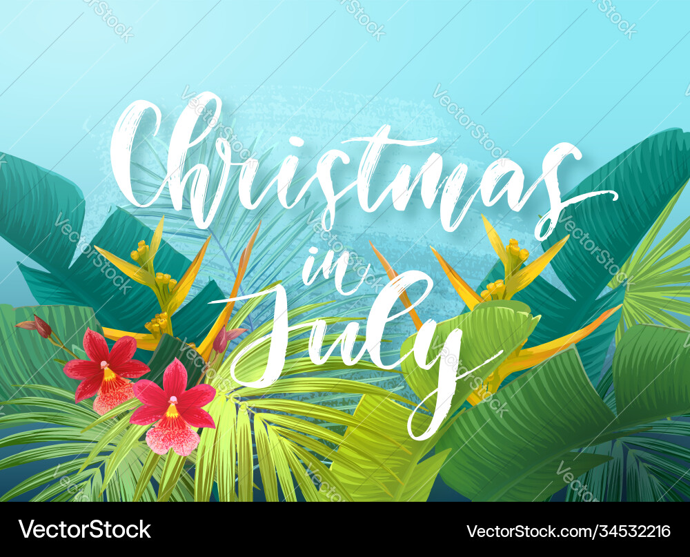 Tropical Christmas Sale Vector Image